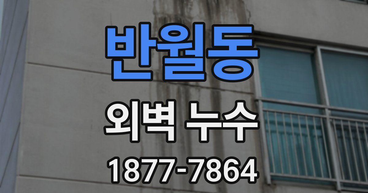 반월동 외벽 누수