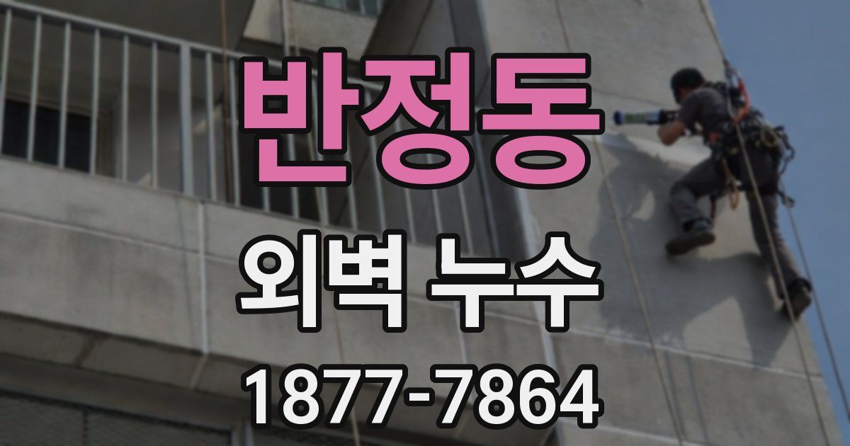 반정동 외벽 누수