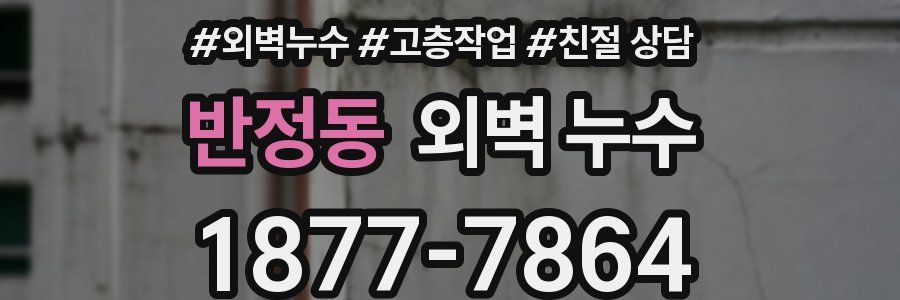 반정동 외벽 누수