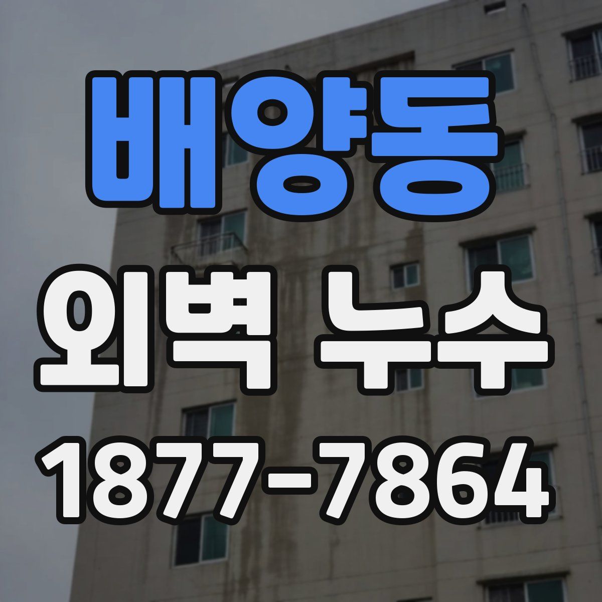 배양동 외벽 누수