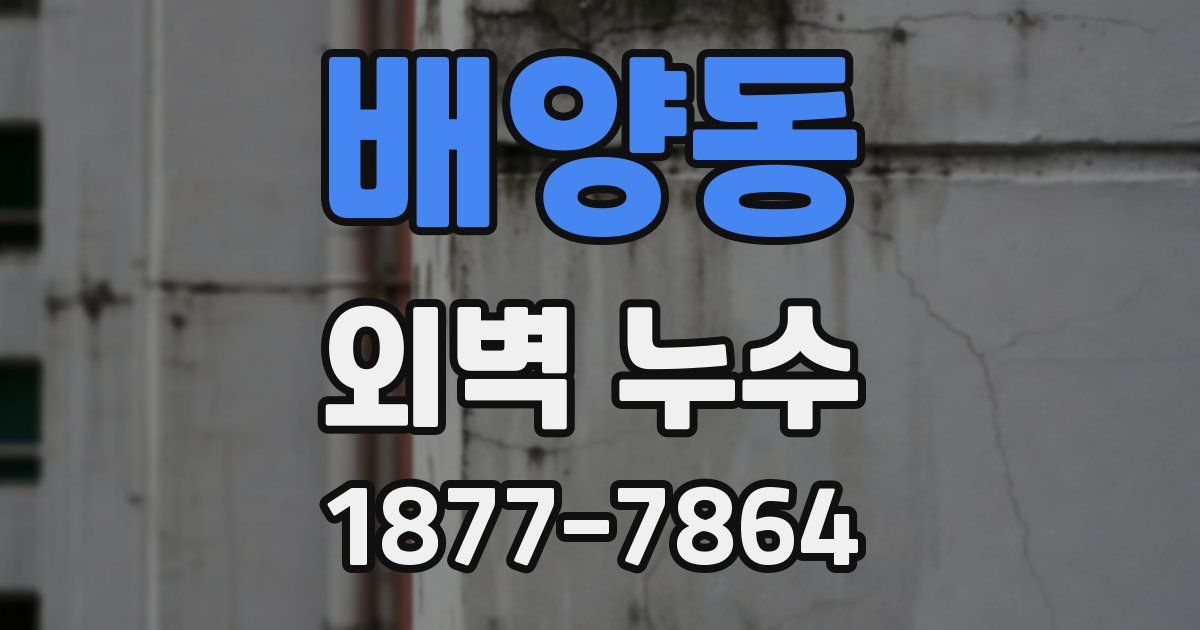 배양동 외벽 누수