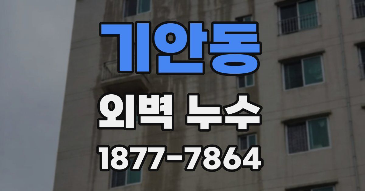 기안동 외벽 누수