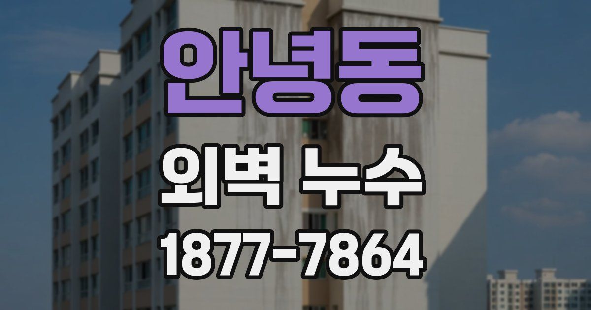 안녕동 외벽 누수