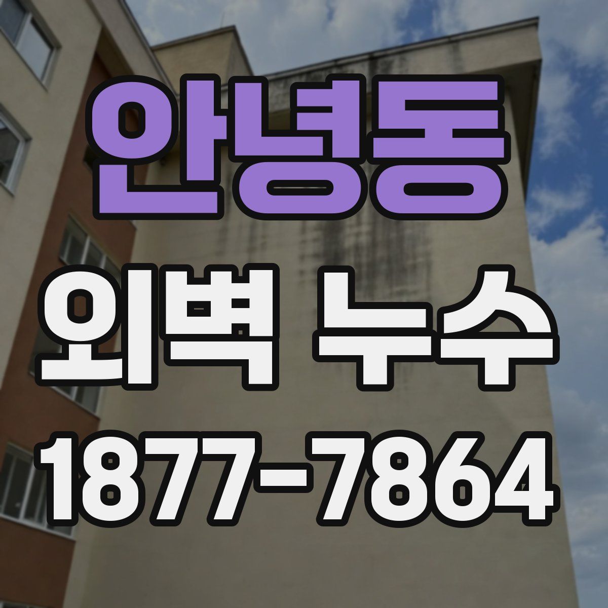 안녕동 외벽 누수