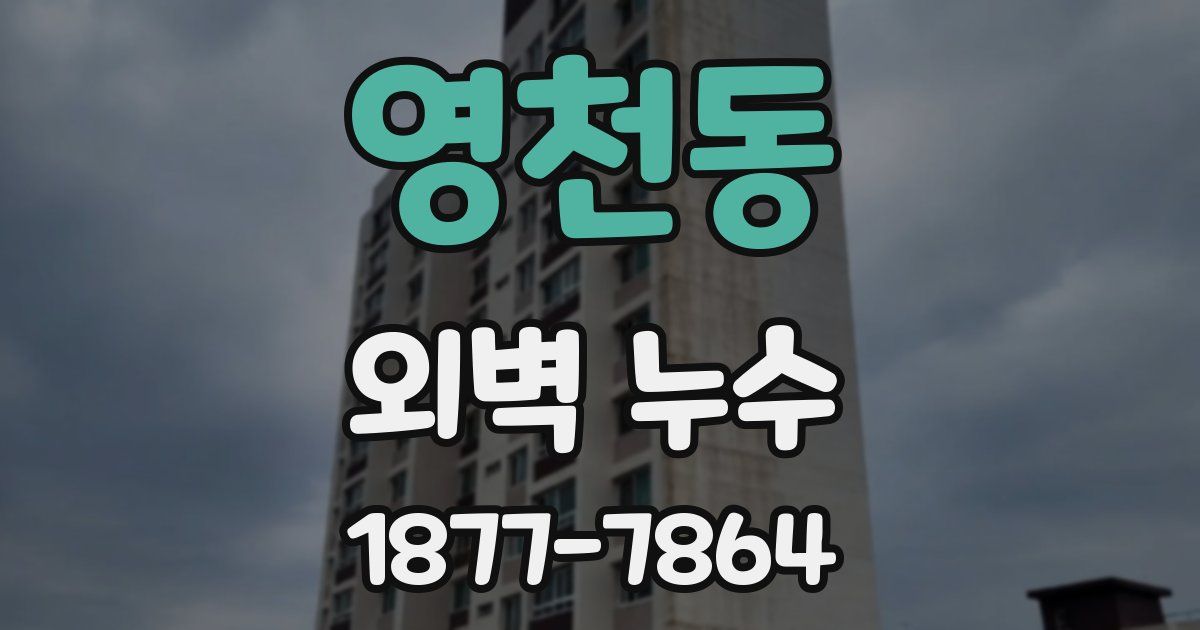 영천동 외벽 누수
