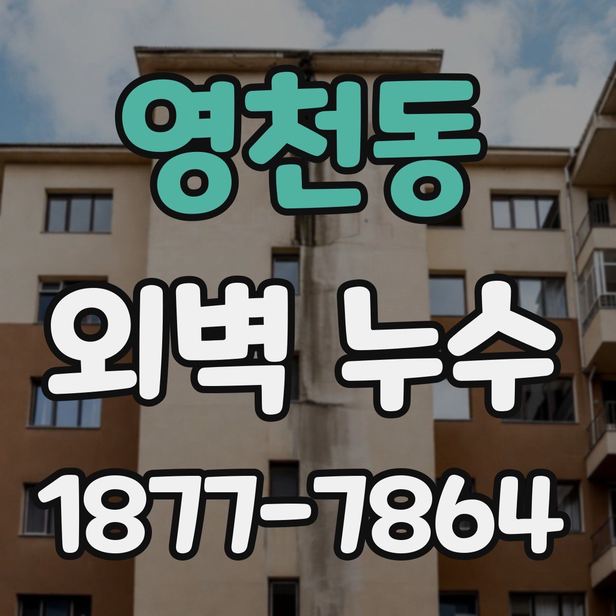 영천동 외벽 누수
