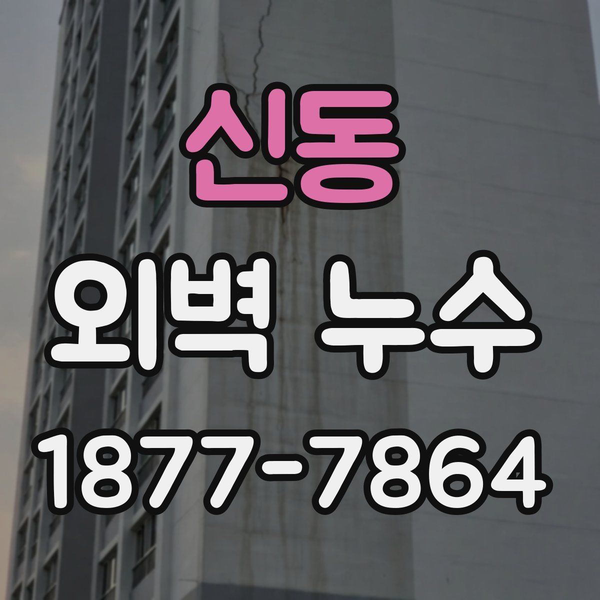 신동 외벽 누수