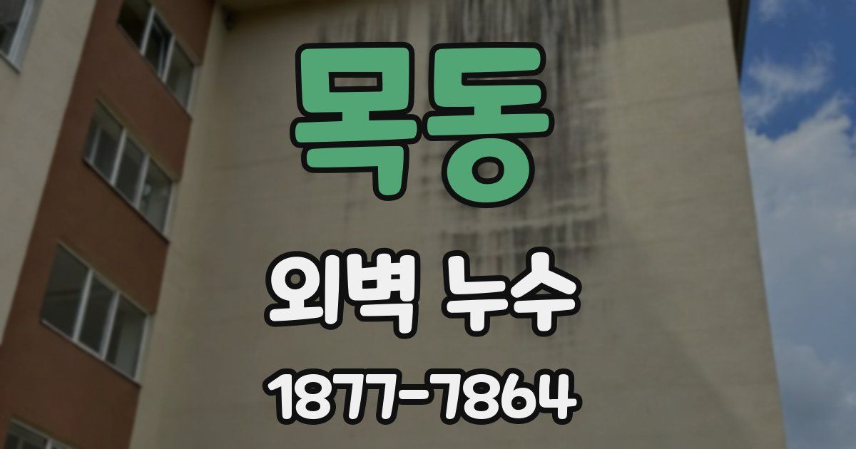 목동 외벽 누수