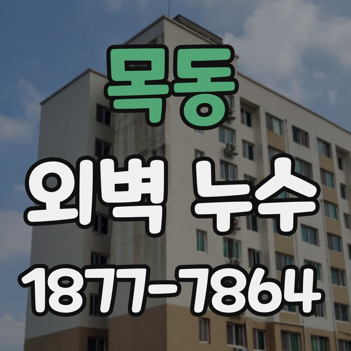 목동 외벽 누수