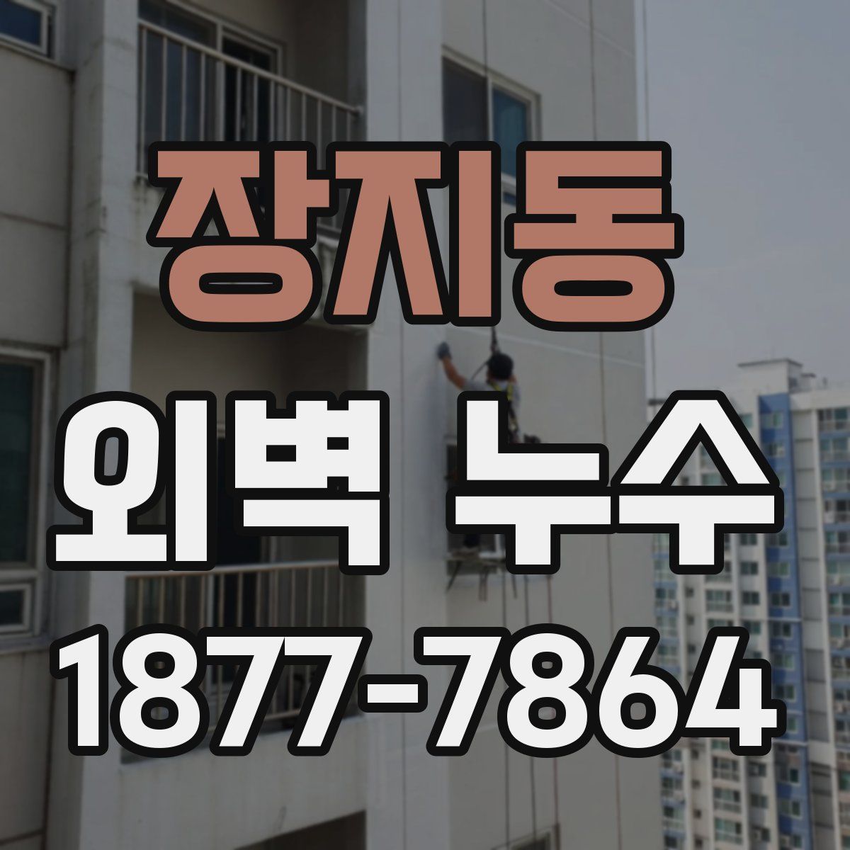 장지동 외벽 누수