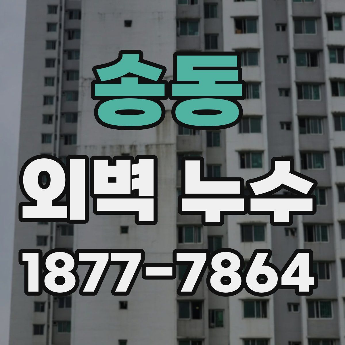 송동 외벽 누수