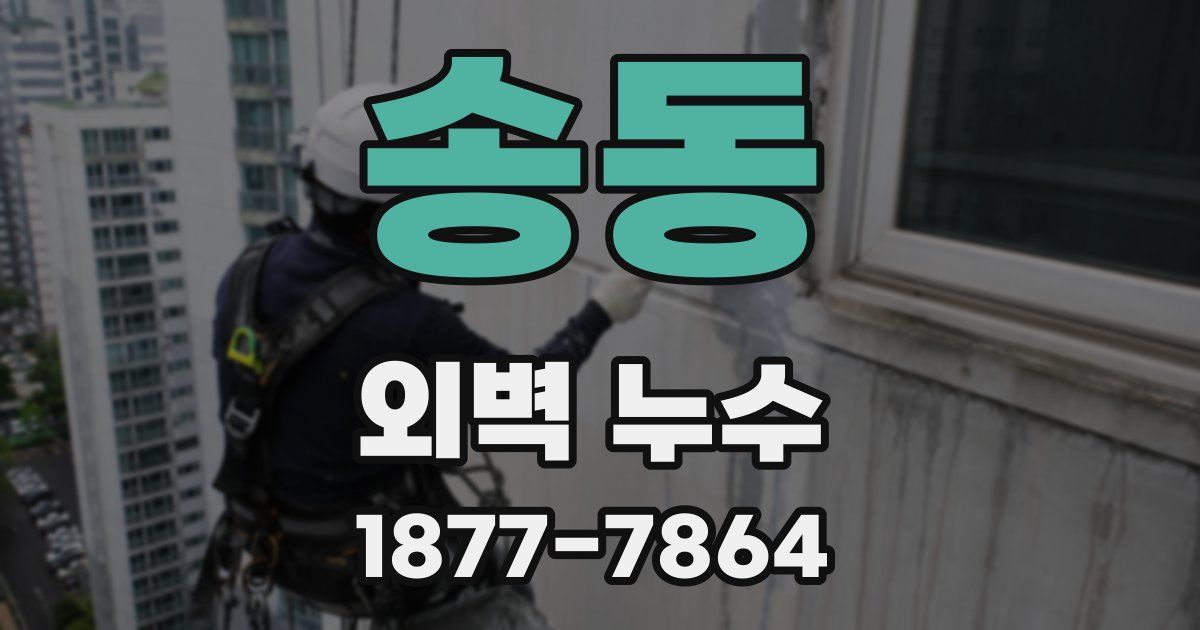 송동 외벽 누수