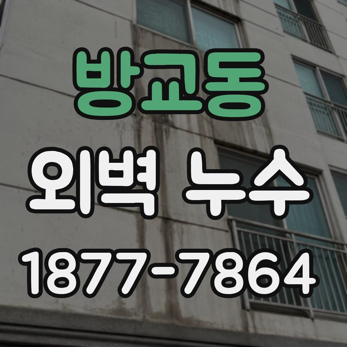 방교동 외벽 누수