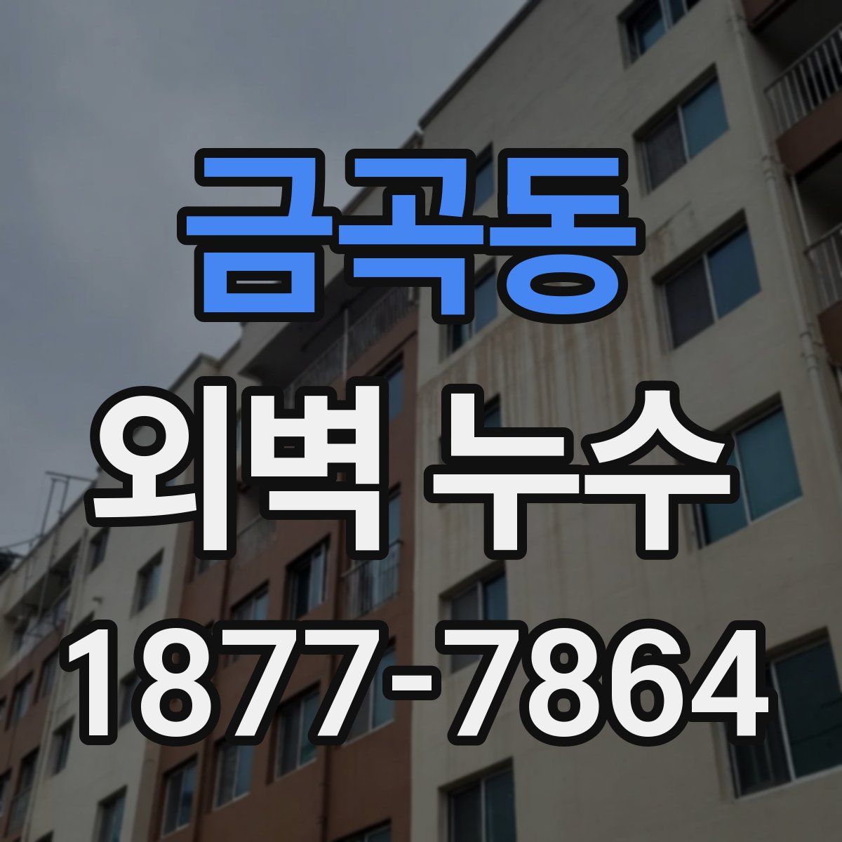 금곡동 외벽 누수