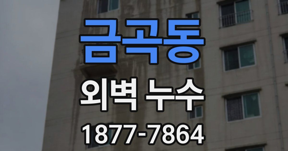 금곡동 외벽 누수