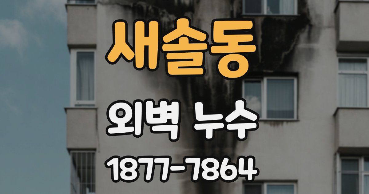 새솔동 외벽 누수