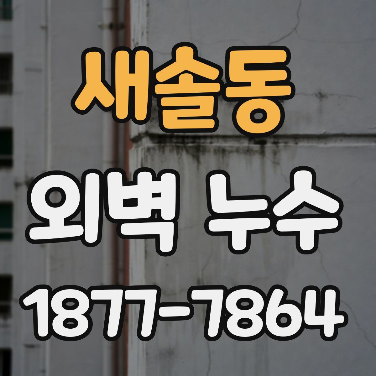 새솔동 외벽 누수