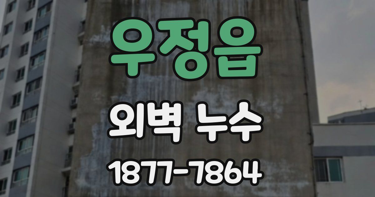 우정읍 외벽 누수