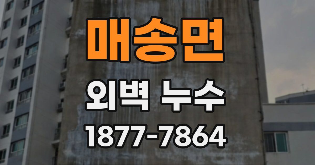 매송면 외벽 누수