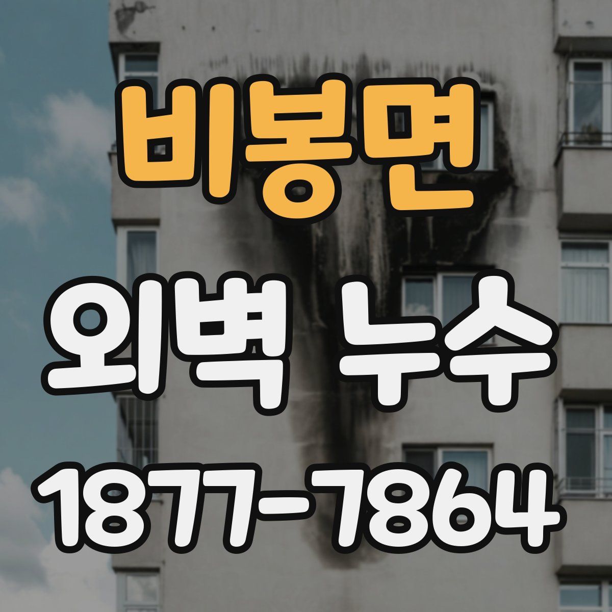 비봉면 외벽 누수