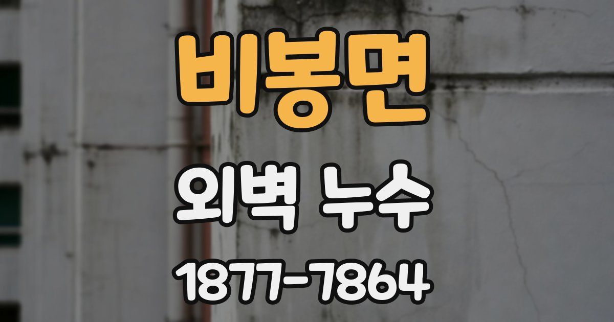비봉면 외벽 누수