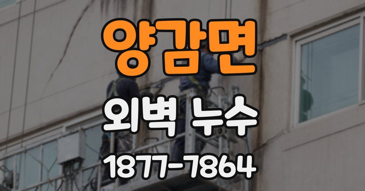 양감면 외벽 누수