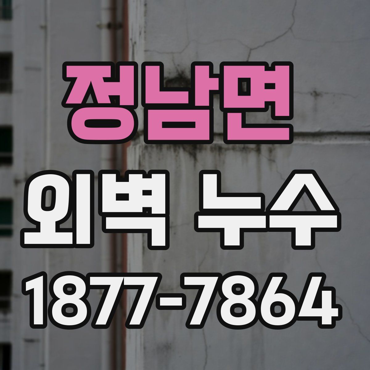 정남면 외벽 누수