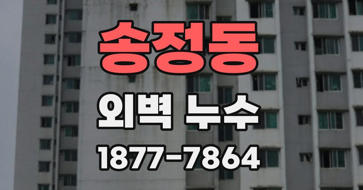 송정동 외벽 누수