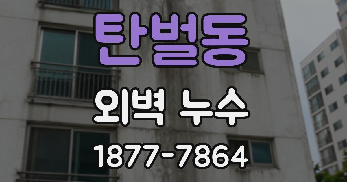 탄벌동 외벽 누수