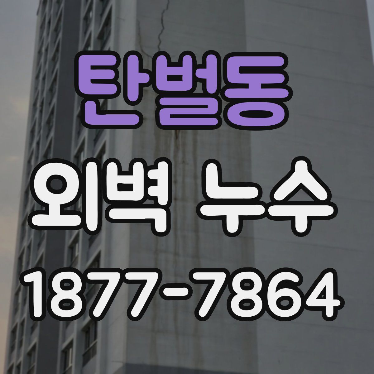 탄벌동 외벽 누수