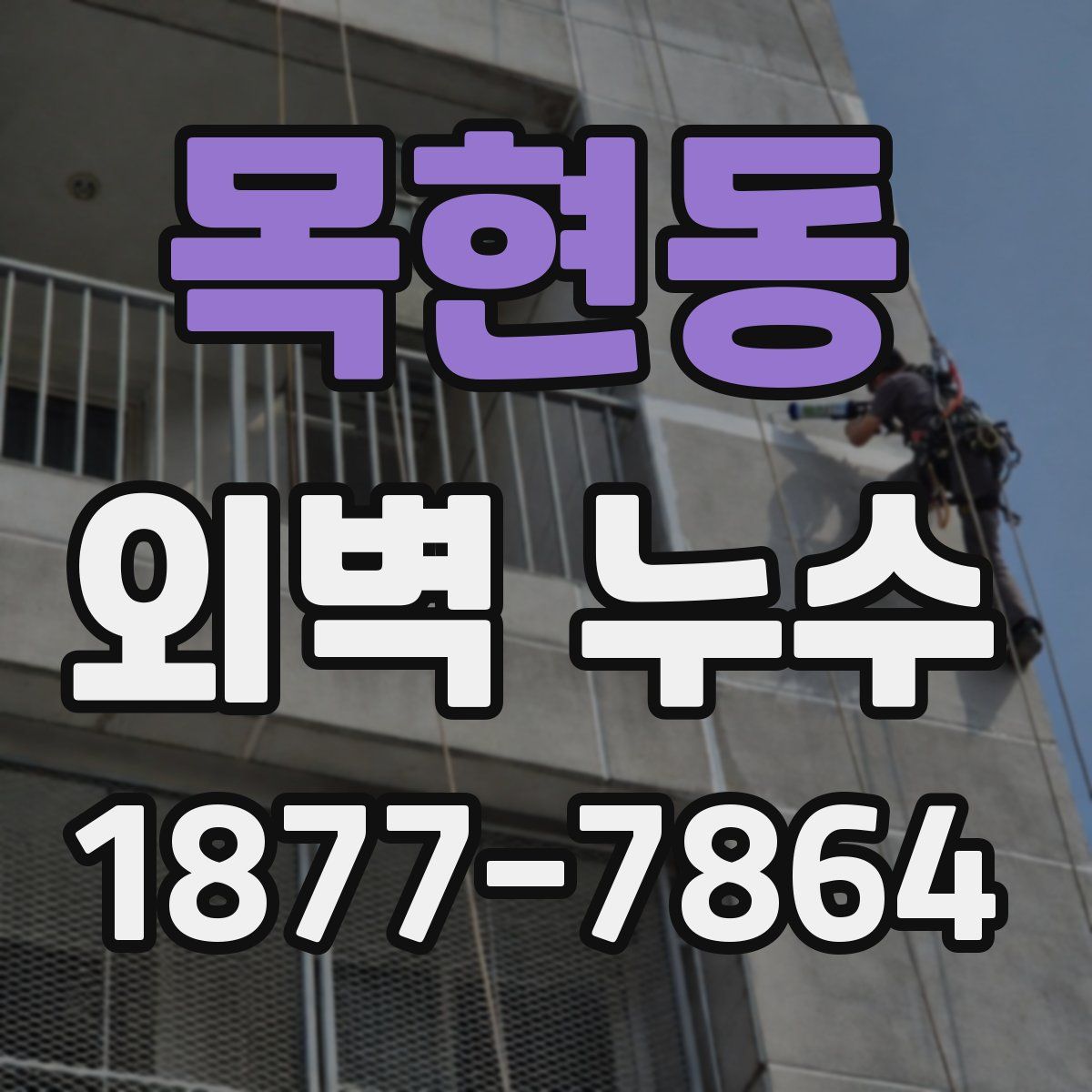 목현동 외벽 누수