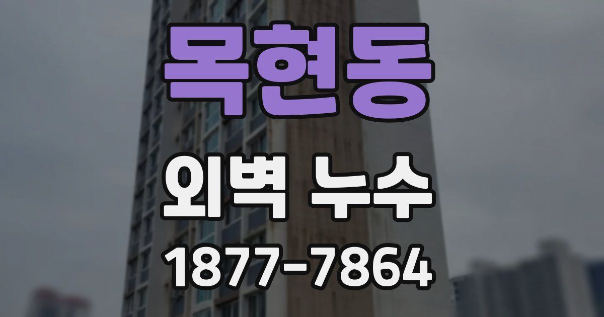 목현동 외벽 누수