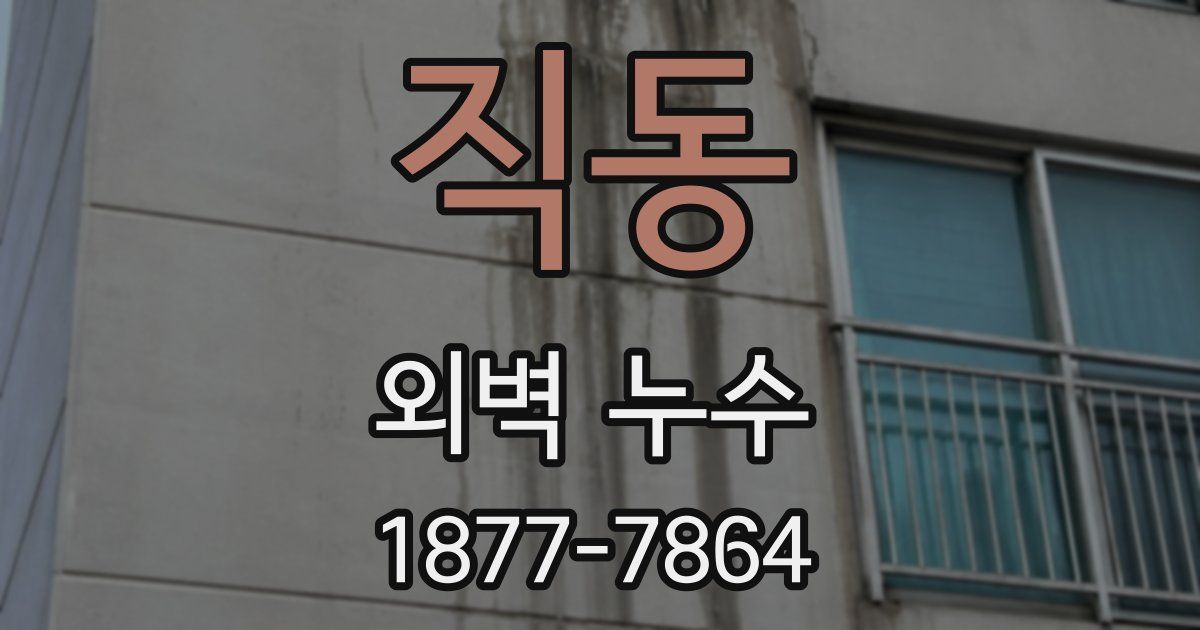 직동 외벽 누수