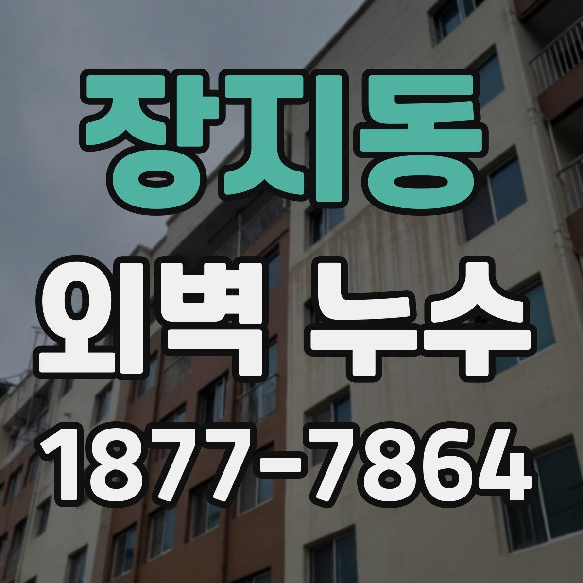 장지동 외벽 누수