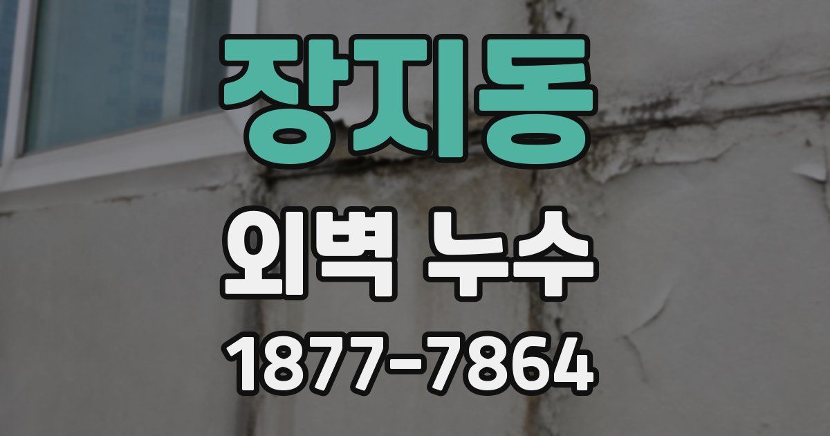 장지동 외벽 누수