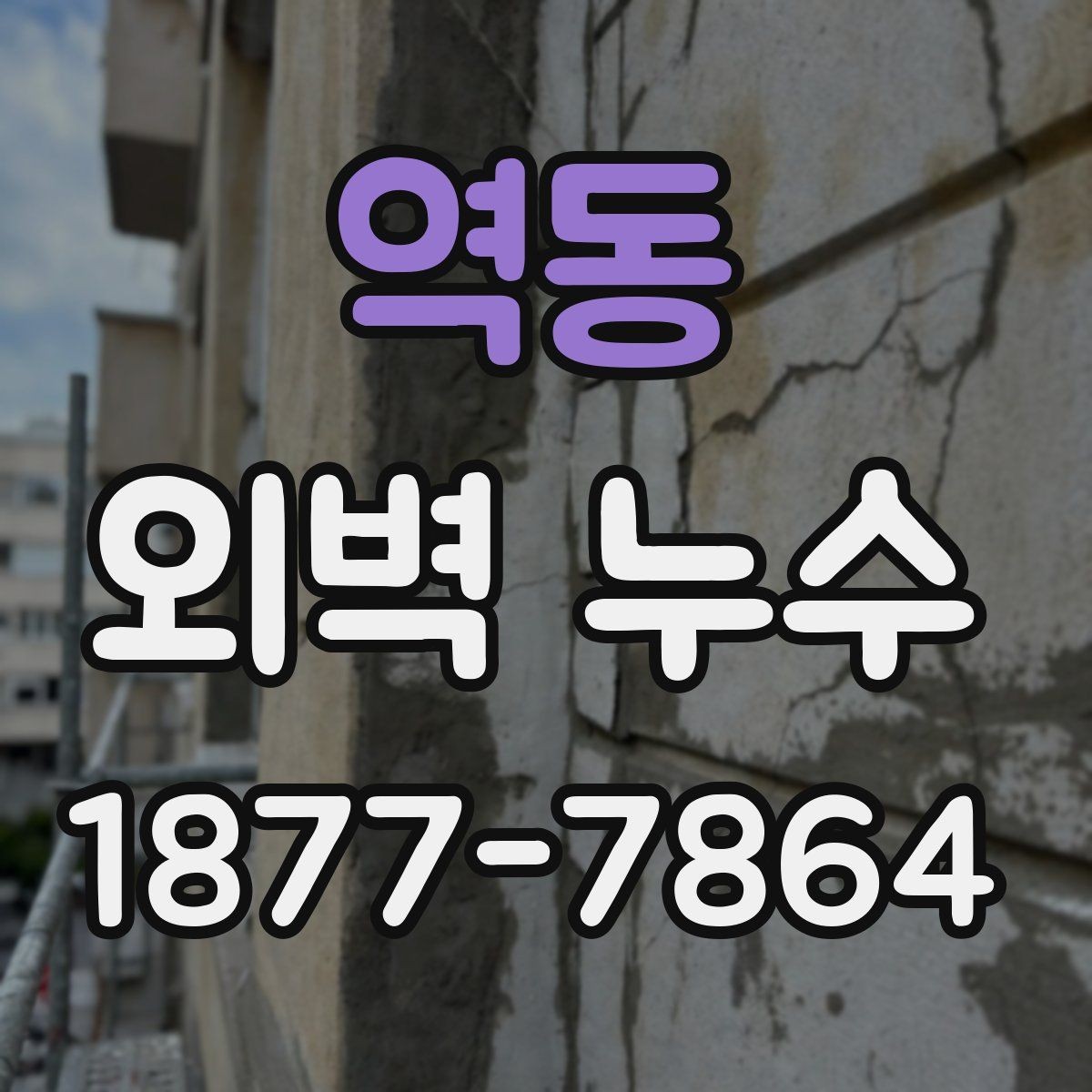 역동 외벽 누수 사례로 보는 잘못된 대응