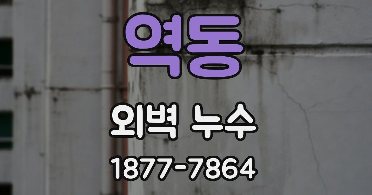 역동 외벽 누수