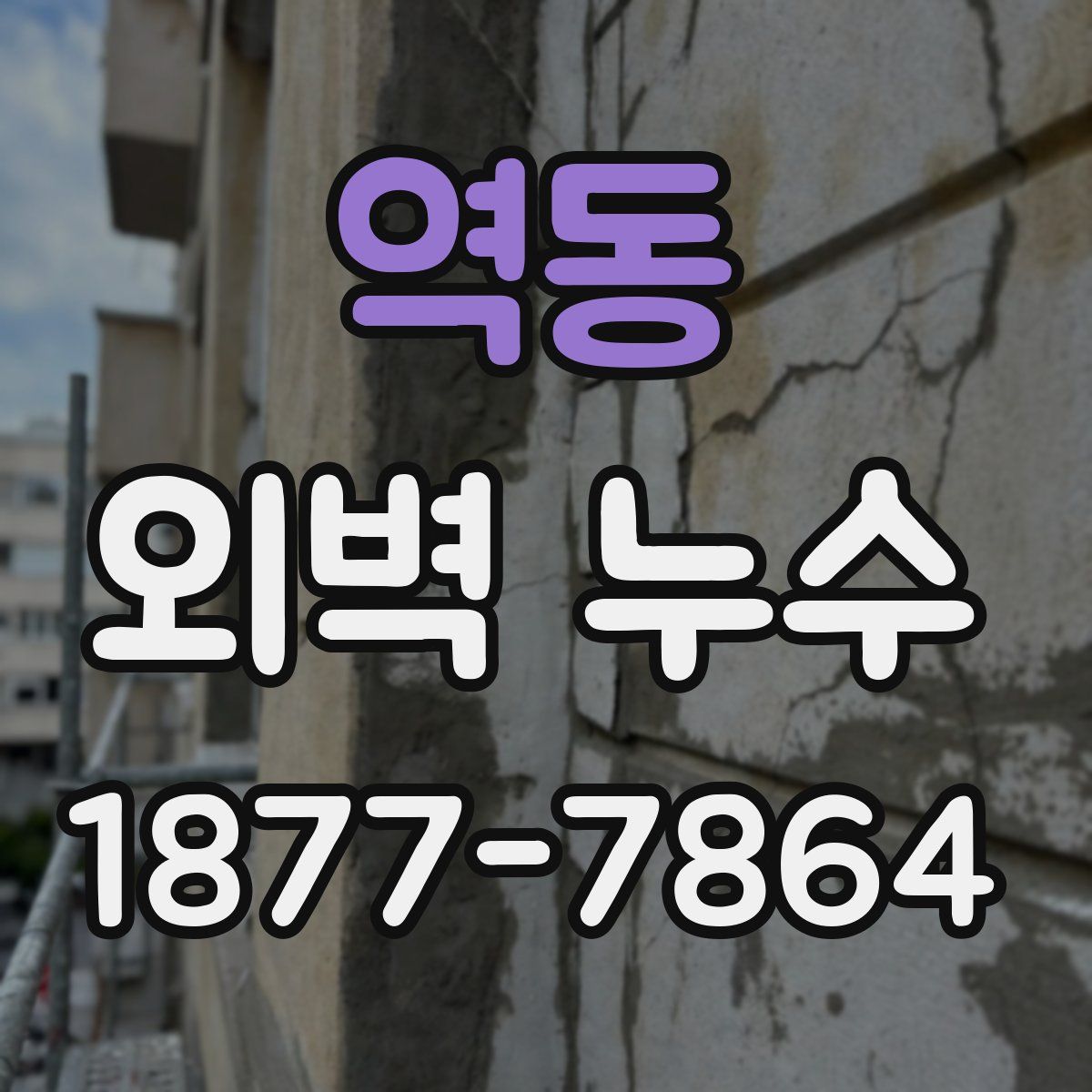 역동 외벽 누수