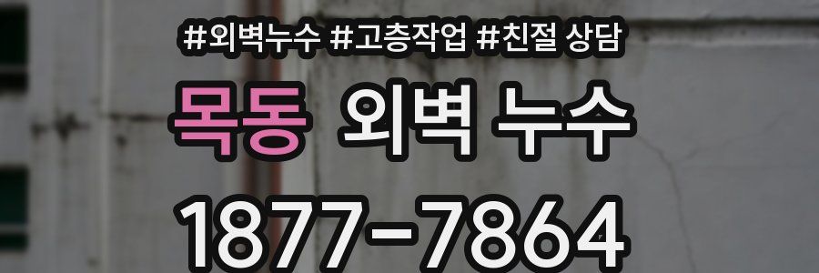 목동 외벽 누수