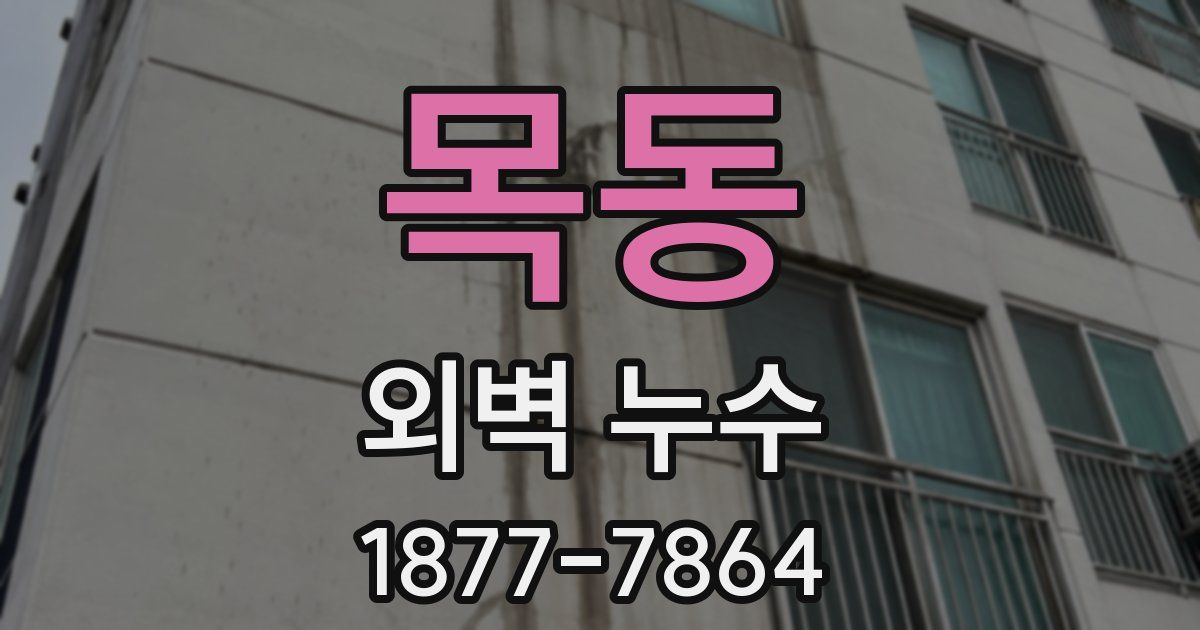 목동 외벽 누수