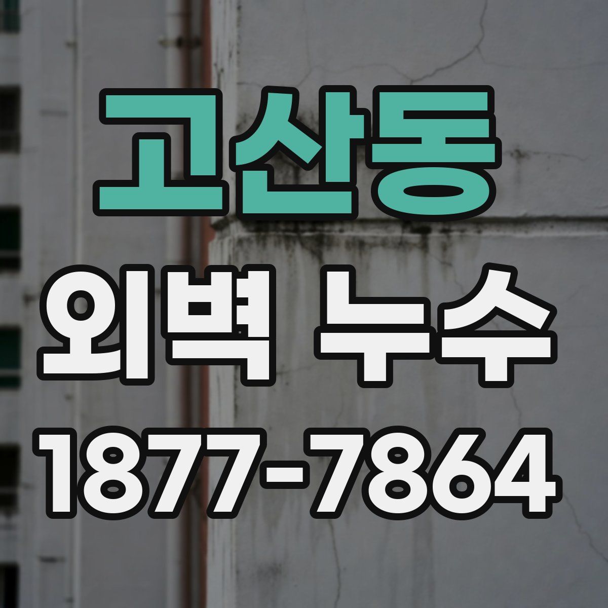 고산동 외벽 누수