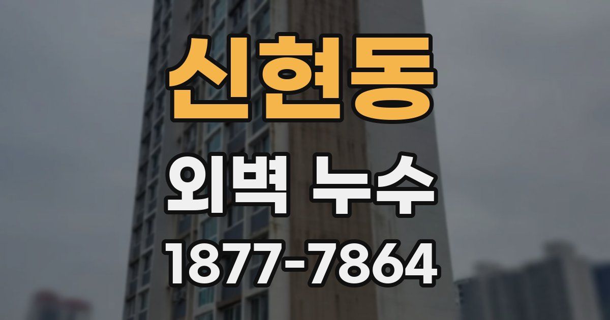 신현동 외벽 누수