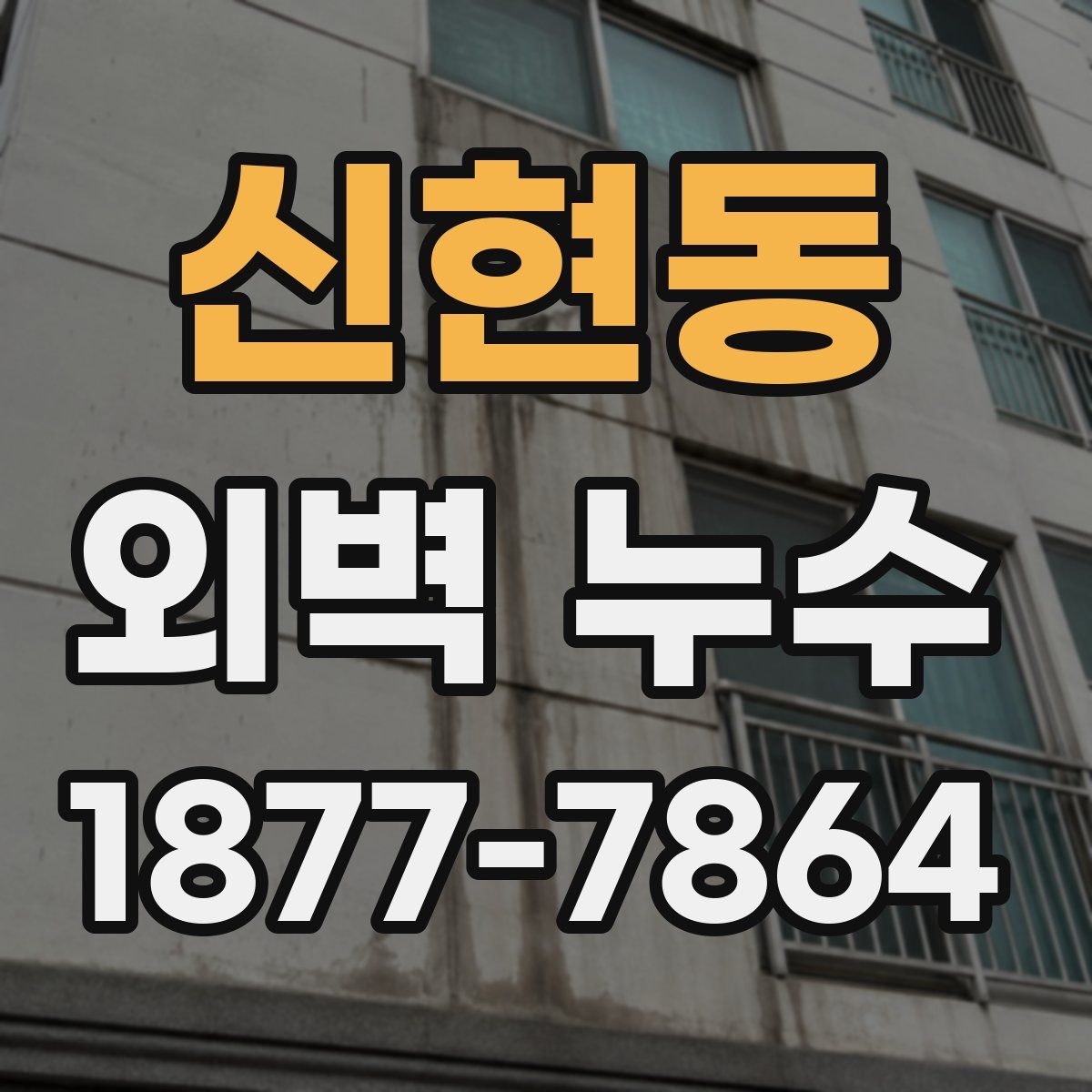 신현동 외벽 누수