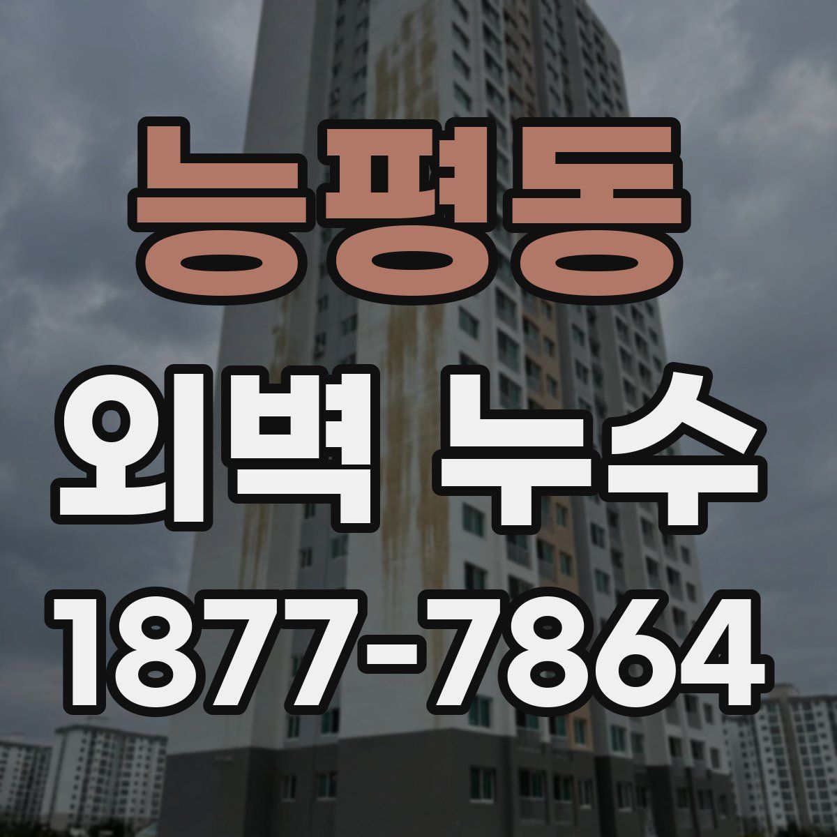 능평동 외벽 누수