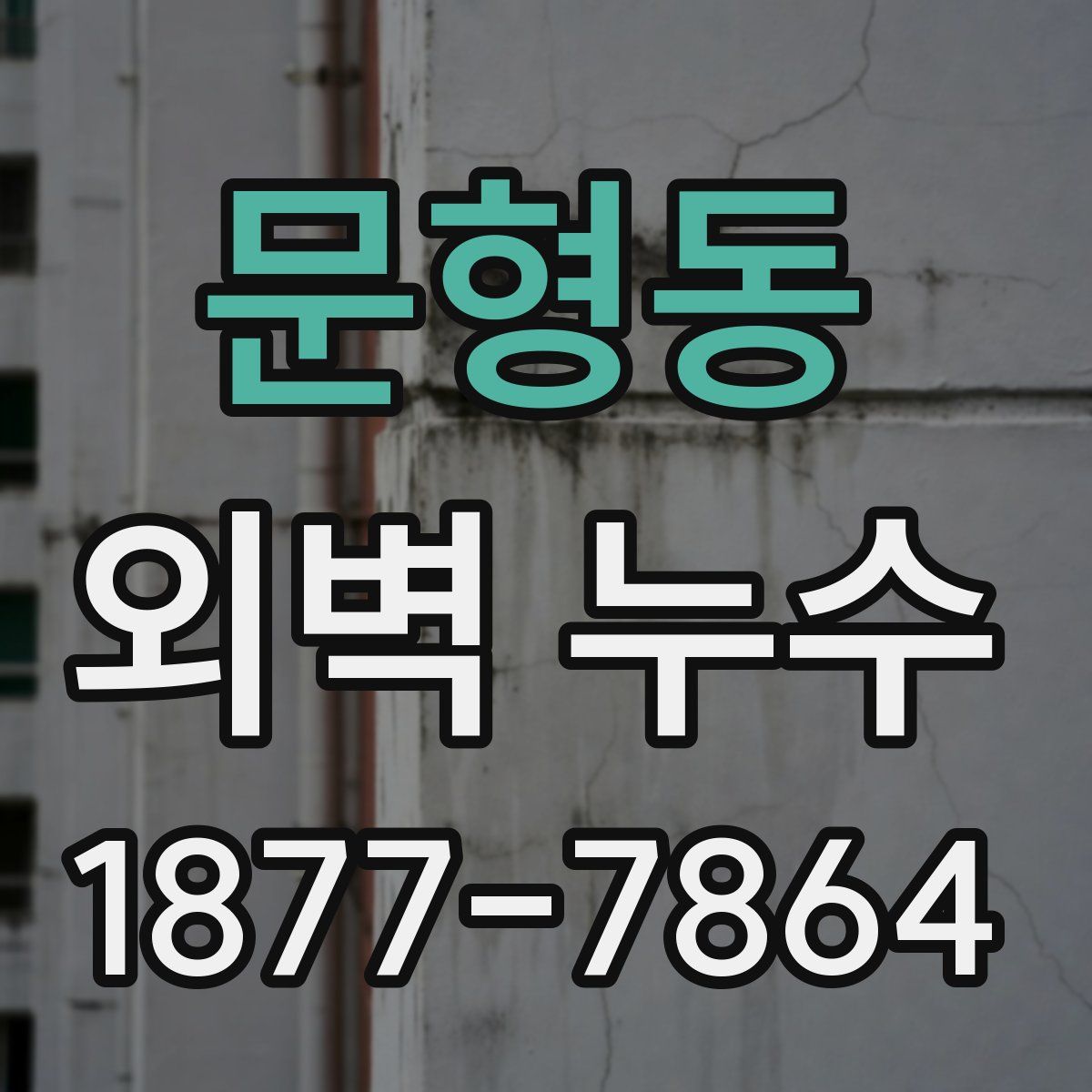 문형동 외벽 누수