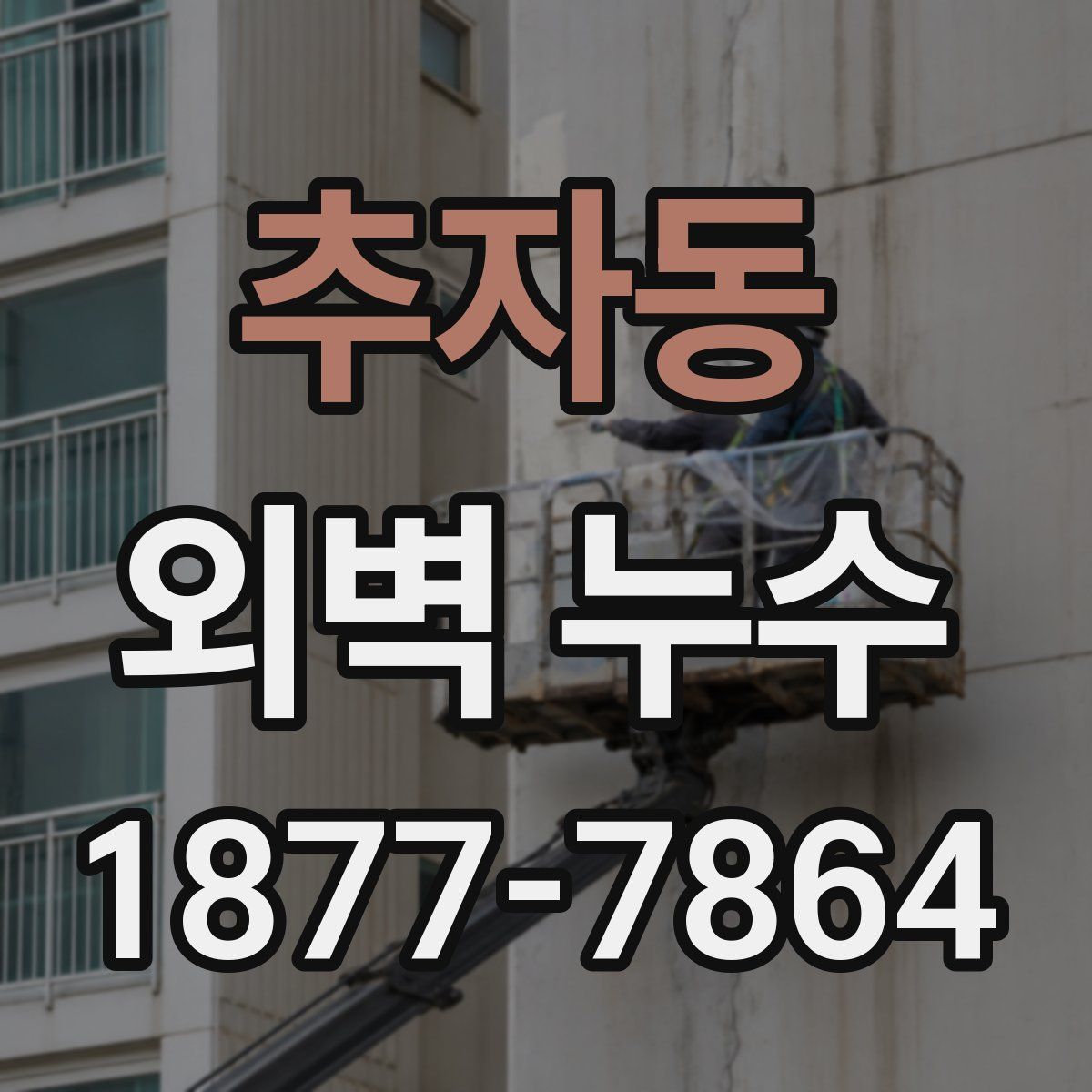 추자동 외벽 누수