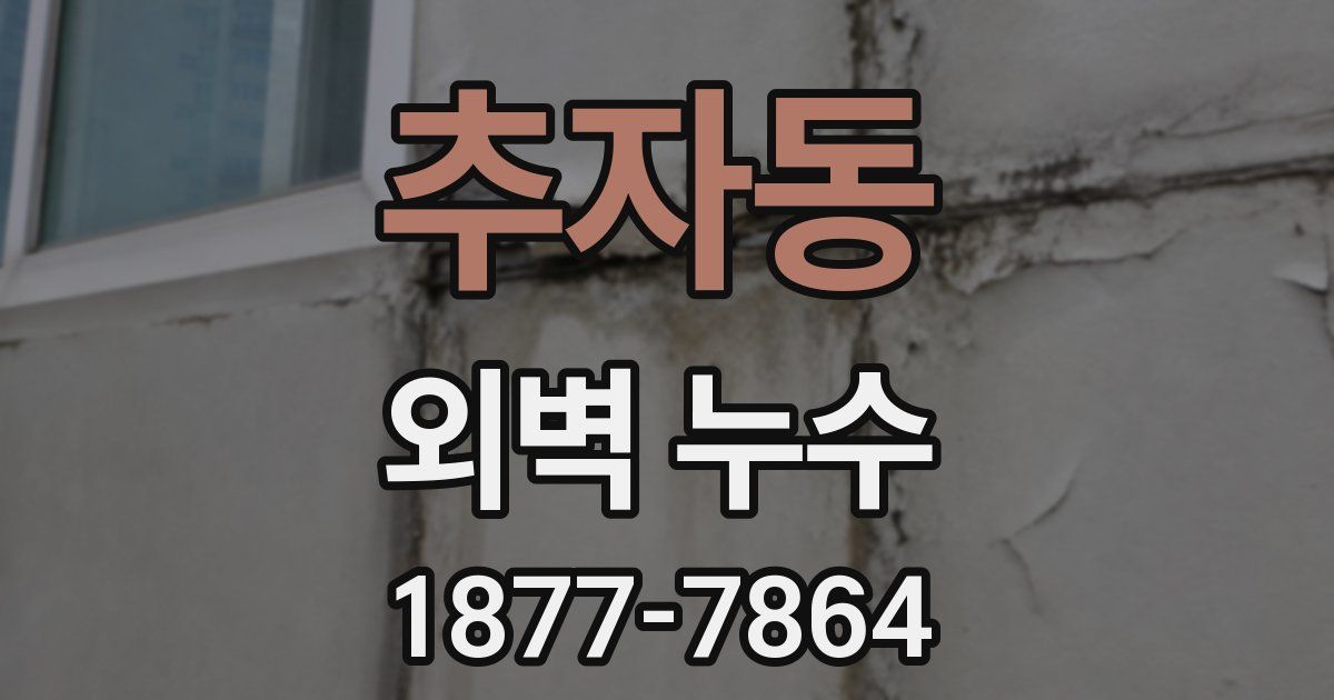 추자동 외벽 누수