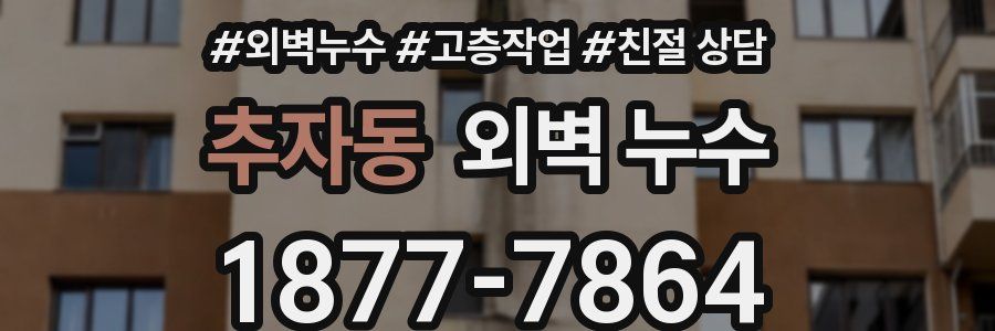추자동 외벽 누수