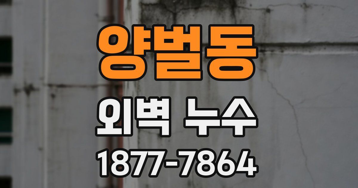 양벌동 외벽 누수