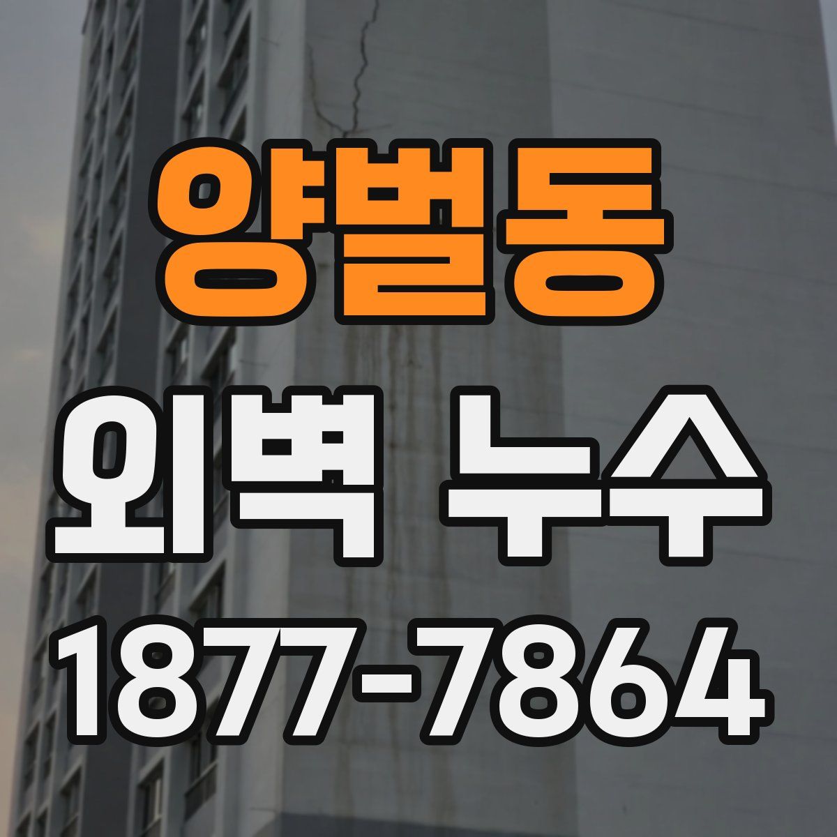 양벌동 외벽 누수